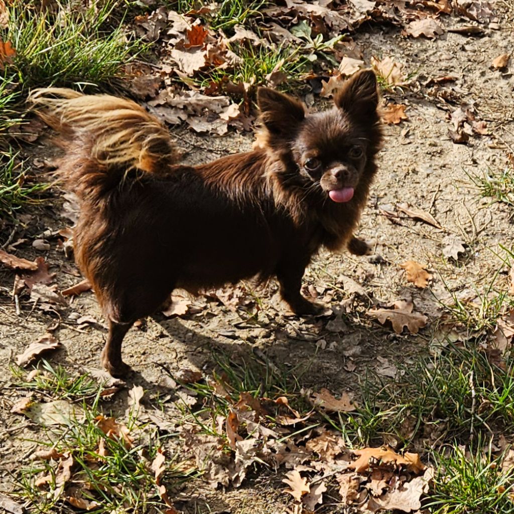 Tabatha De la fontaine aux maléfices